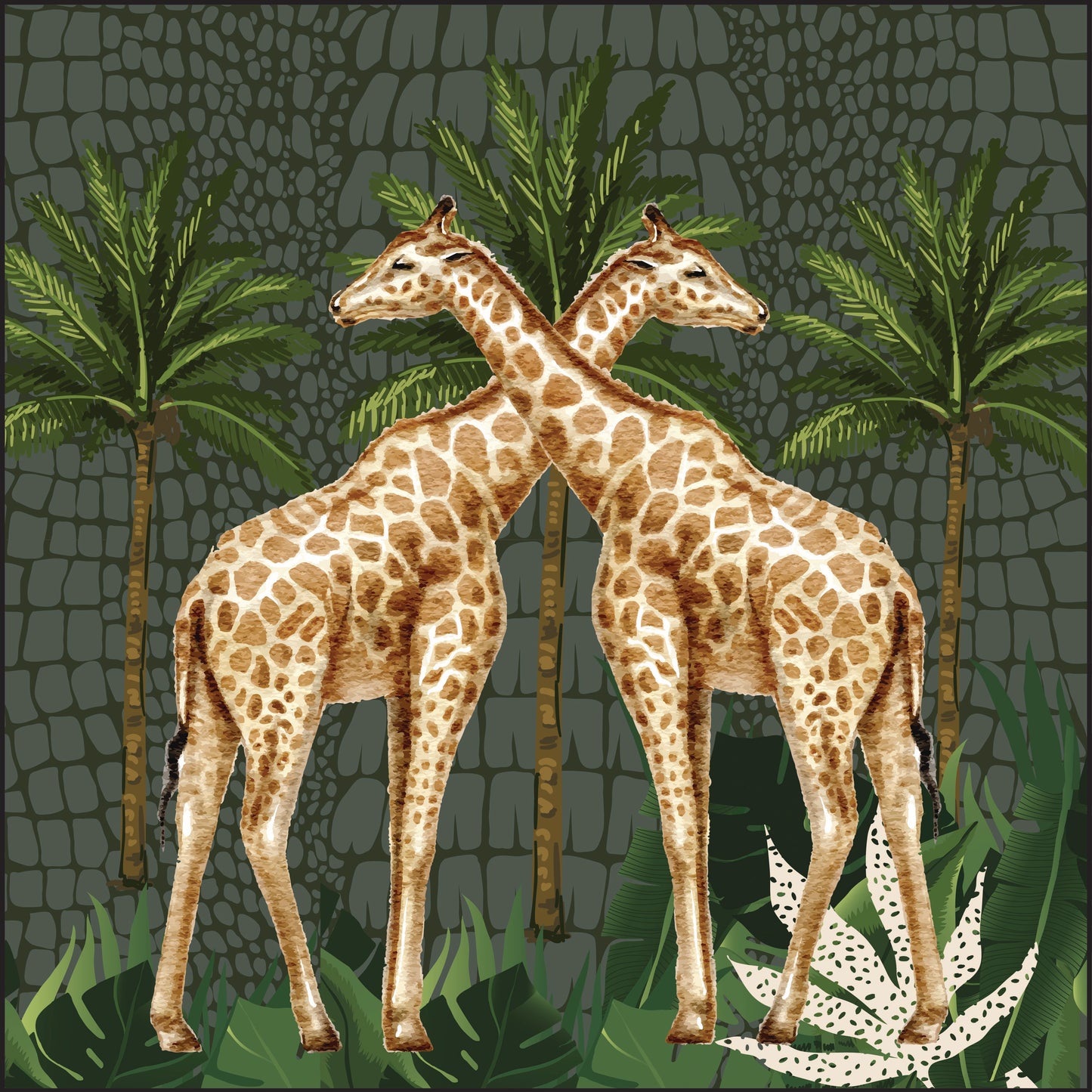 Oasis Giraffes