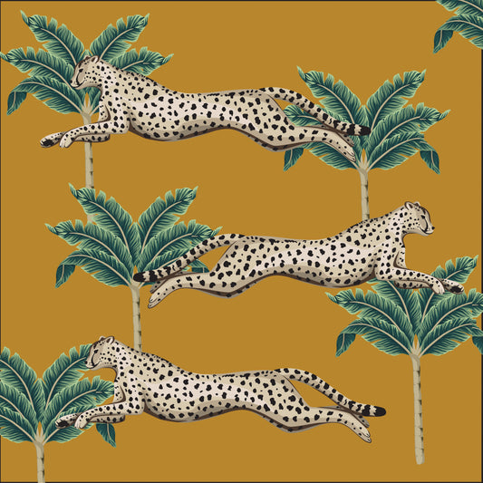 Cabo Verde Chartreuse