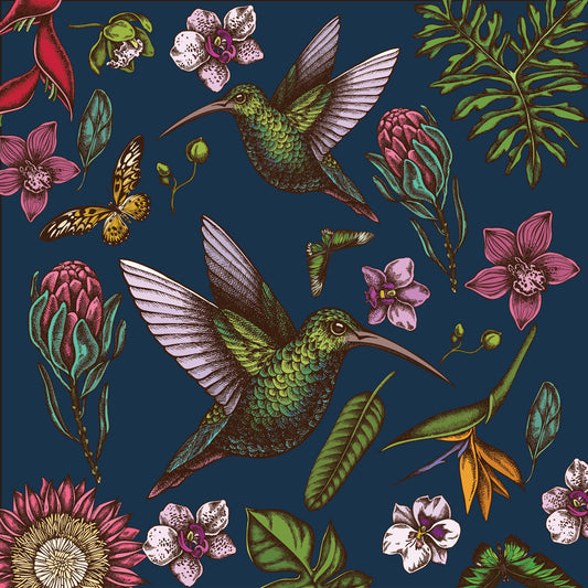 Midnight Hummingbird