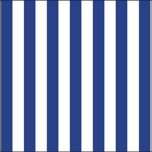 Splendida Stripe Blue